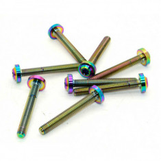 Orranje Rainbow Titanium Intercooler Snoot Boot Clamp Bolt Kit R53 R52 R50