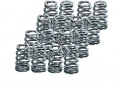 Supertech R56 N14 N18 Beehive Springs